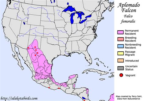 aplomado falcon range.